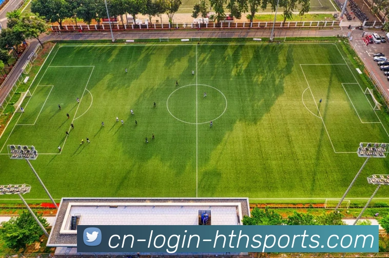 华体会hth平台生态图